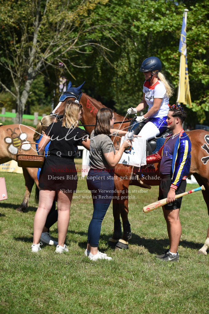 DSC_0452 | Pferde- und Turnierfotografie in Westsachsen. Pferdeportraits, Auftragszeichnungen und intuitive Kunst.