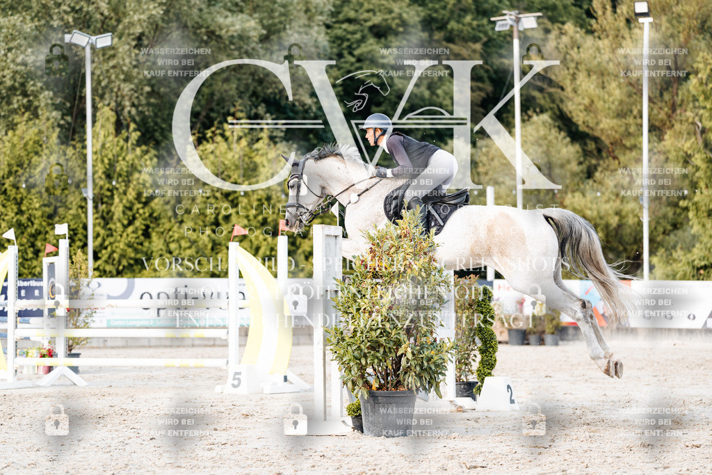 CK903825 | Turnierfotografie Pferdefotografie Trier Rheinland-Pfalz Pferdesport Reitsport Tierfotografie Sportfotografie Pferdevideo Pferdevideografie Equestrianvideography equestrianphotography  - Realisiert mit Pictrs.com