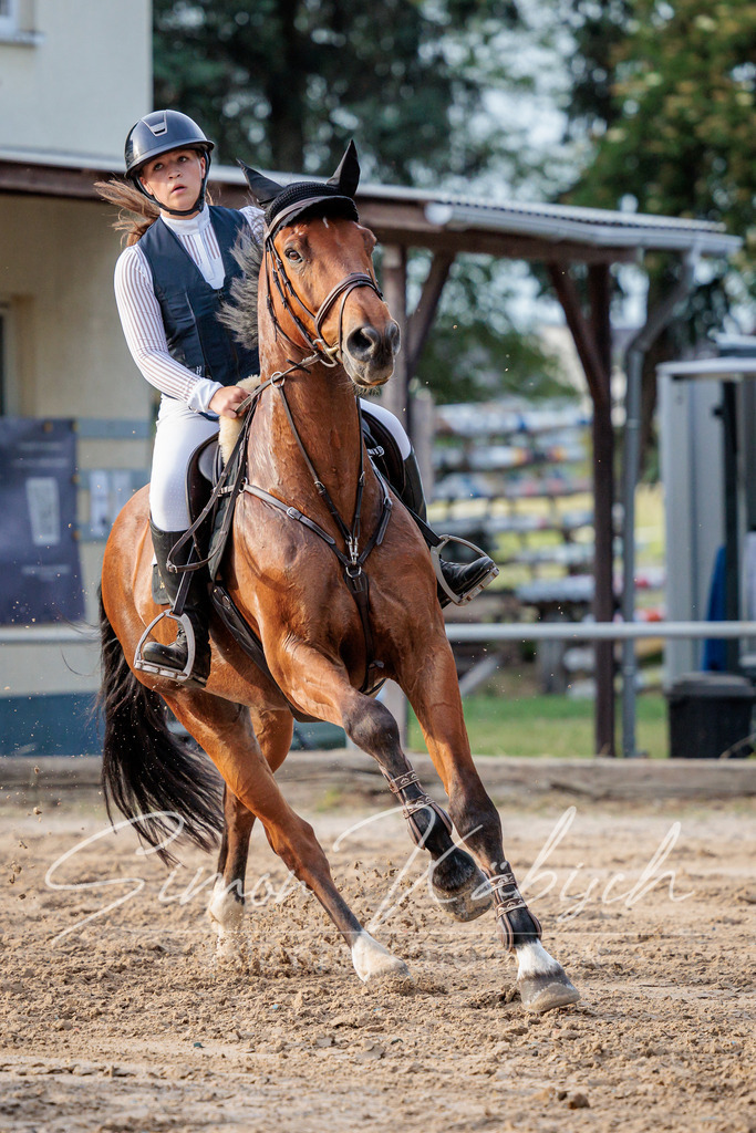 20260529-_3LI1642 | Tierfotografie Pferde, Hunde, Katzen, Haustiere.
Turnierfotografie Reitturniere, Reiten, Springreiten, Dressur in Hanau, dem Main-Kinzig-Kreis und dem Rhein-Main- Gebiet um Frankfurt