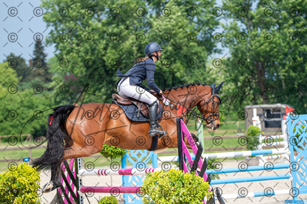 KPT_3343 | andre_photographic