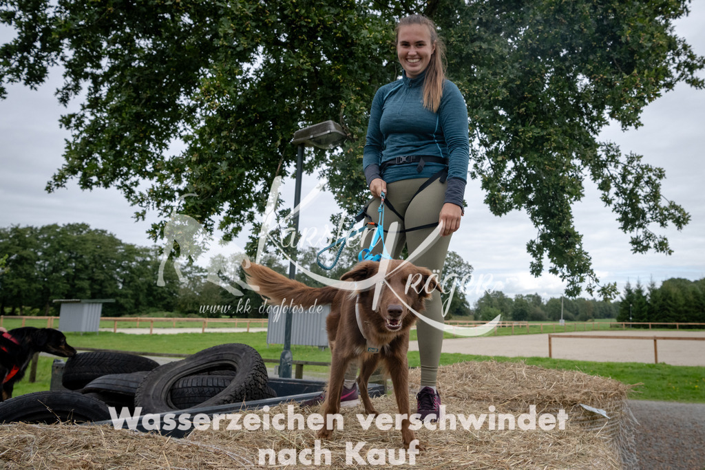 1229_ZZ90903 | kk-dogfotos