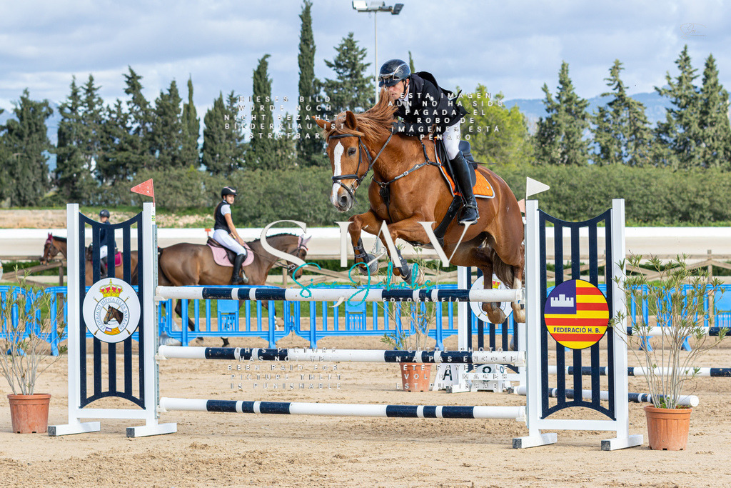 IMG_2118 | s-jay-photography - Realisiert mit Pictrs.com