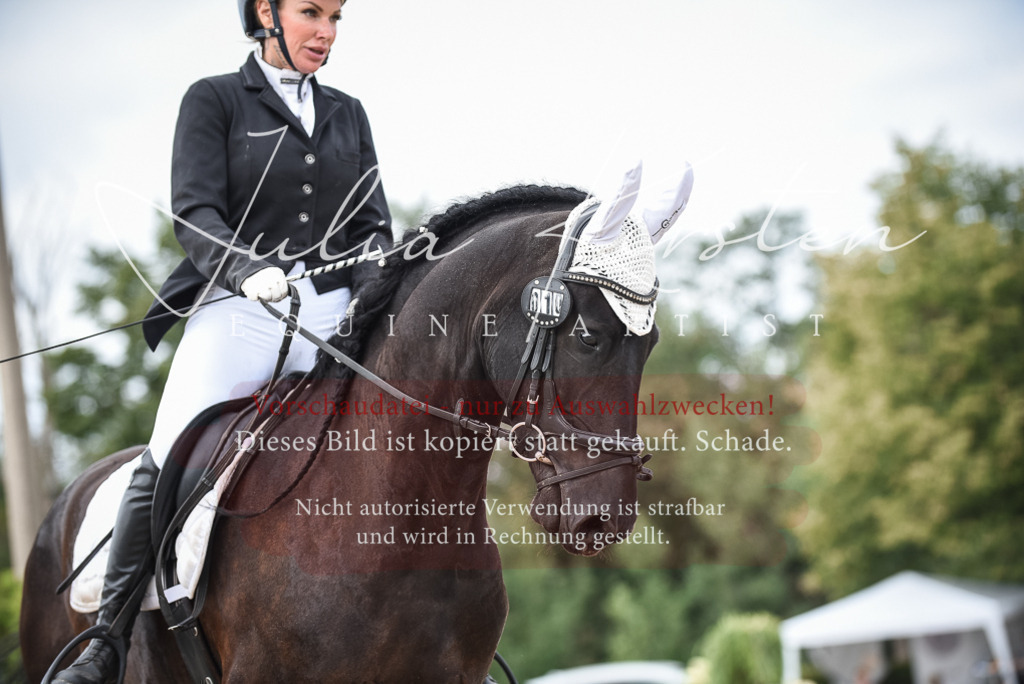 DSC_8630 | Pferde- und Turnierfotografie in Westsachsen. Pferdeportraits, Auftragszeichnungen und intuitive Kunst.