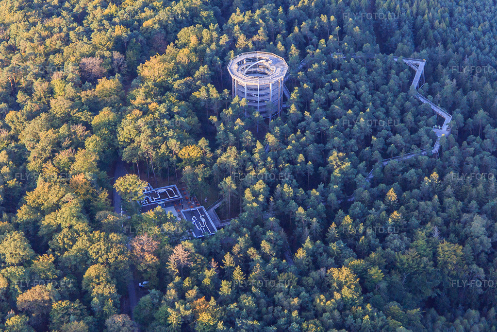 Vue aérienne: Passerelle dans les arbres d'Alsace à Cleebourg dans le département Bas Rhin, France – .Photo: IMG_138836.jpg prise le 24/09/2023 par Werner Riehm/FLY-FOTO.eu – Résolution de l'original: 5003 x 3335 px – den Baumwipfelpfaden der Erlebnis Akademie AG!