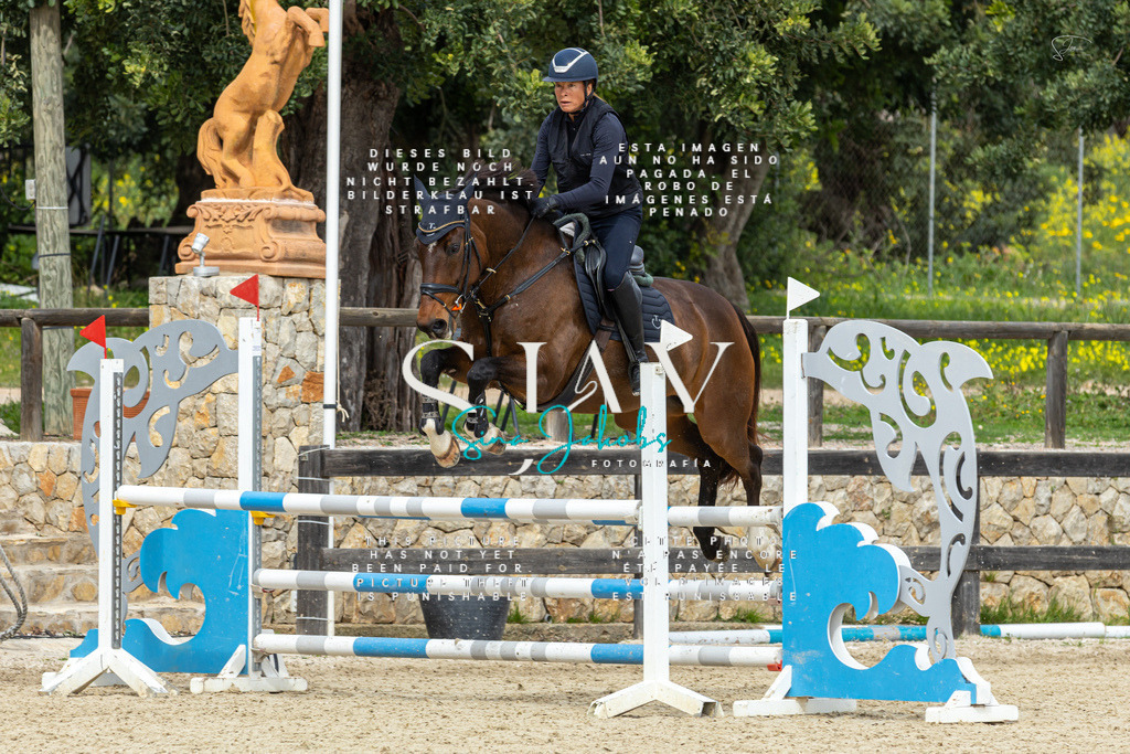 IMG_4851 | s-jay-photography - Realisiert mit Pictrs.com