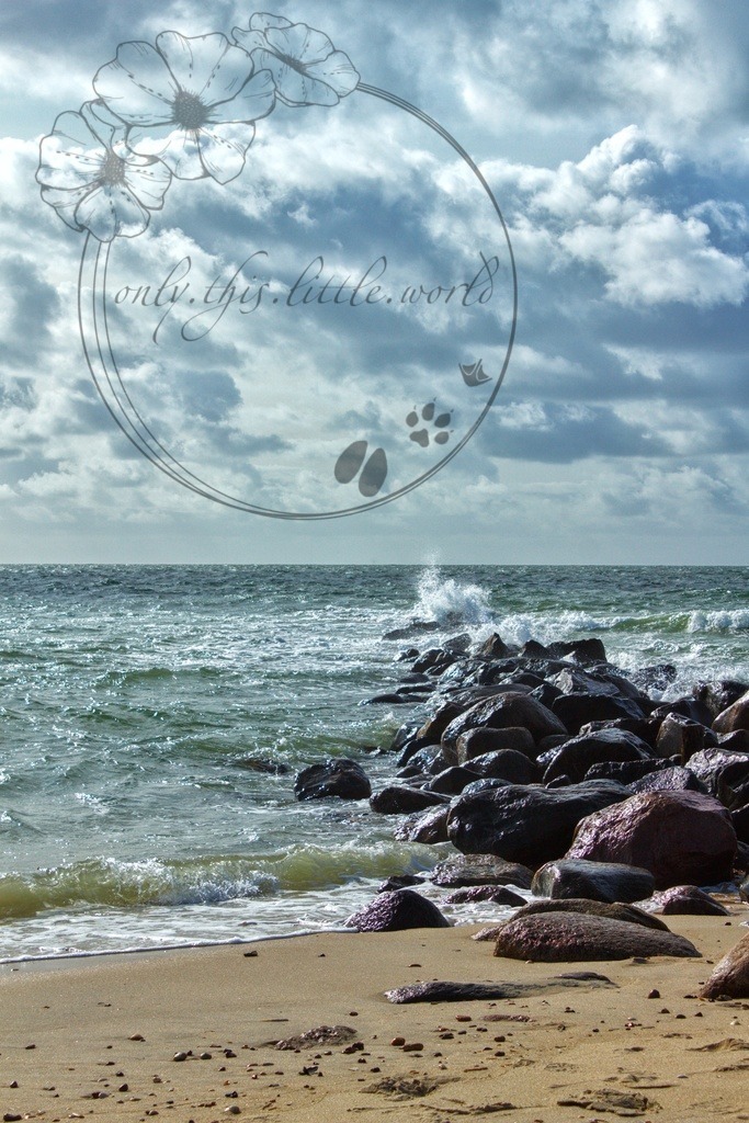 IMG_8045-02 | only.this.little.world - Realisiert mit Pictrs.com