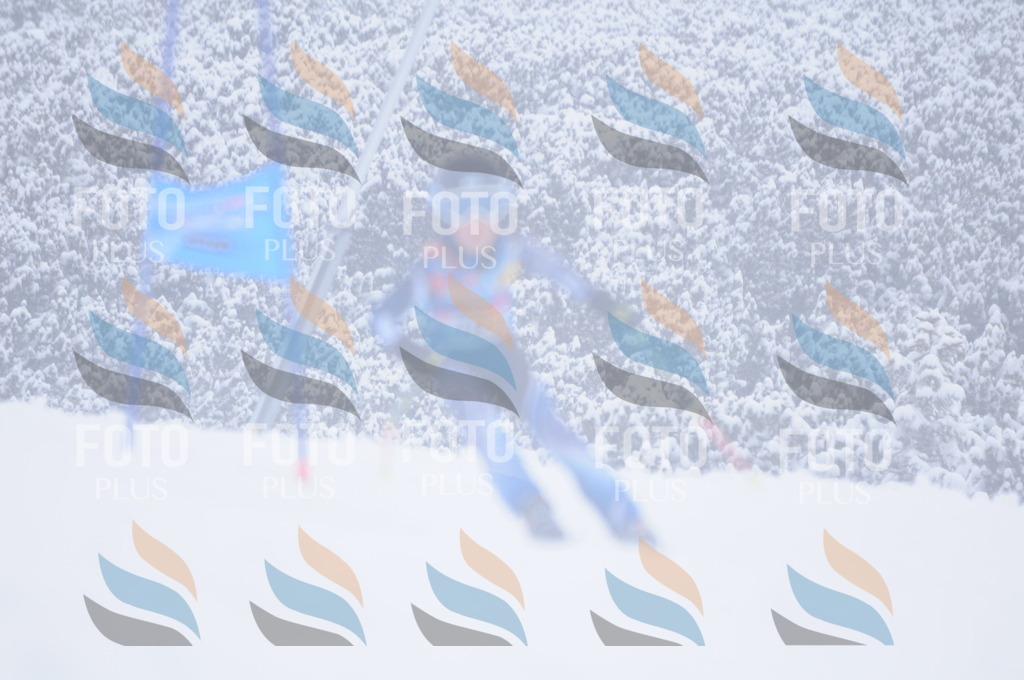 C2103 | holidayphoto