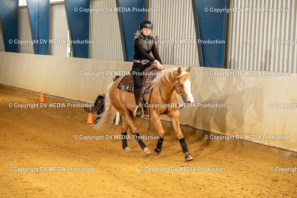 MIT00848 | dv-media-shop - Realisiert mit Pictrs.com