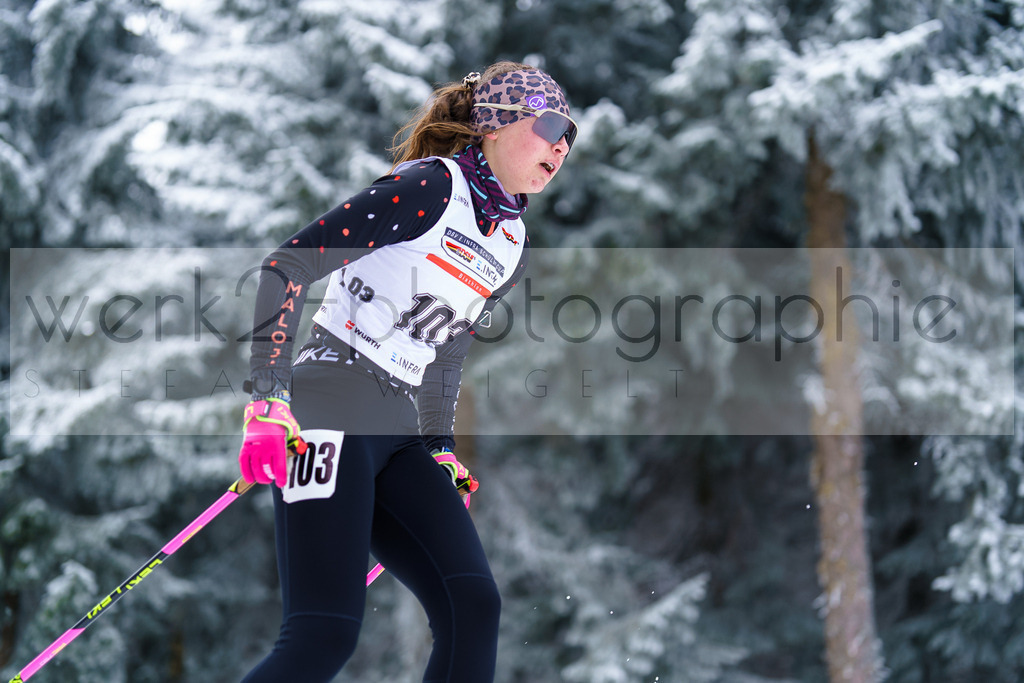 DSC Altenberg | 2. DSV E.INFRA Schülercup Biathlon in der SPARKASSEN-Arena Altenberg am 23. - 25. Januar 2026