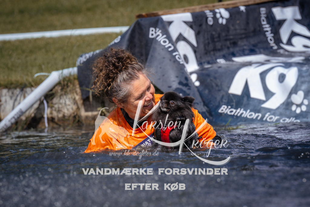 _ZZ931360936 | kk-dogfotos