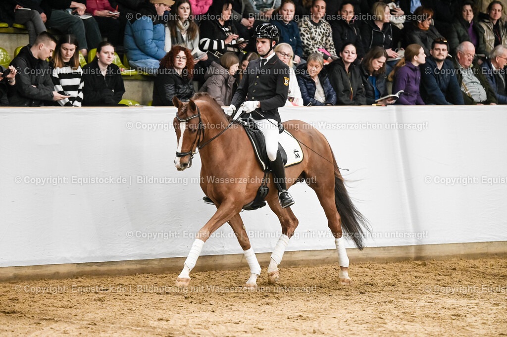 20260307_Hengstvorstellung-Marbach_0218 | equistock