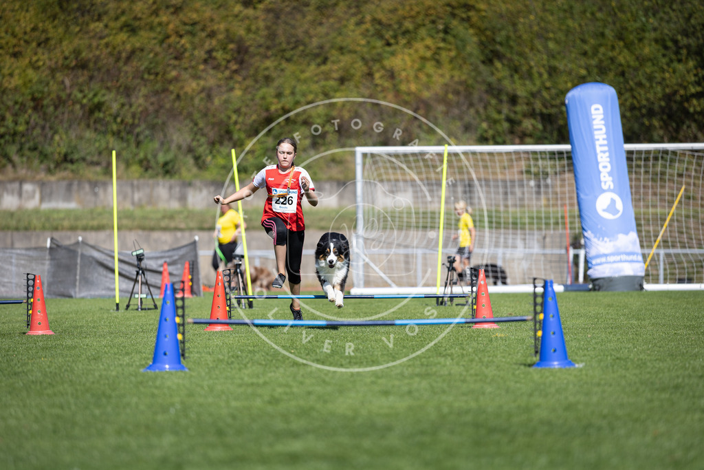 Pfotenfotografie_DV3A5594 | Hundefotografie, Tierfotograf, Pfotenfotografie, Fotoshooting Hund, Hunde Portrait, Hundesport, Hundeportraits, Heideshooting, Hunde, Sportfotograf, Hundefotograf, Turnierhundsport, THS,  - Realisiert mit Pictrs.com