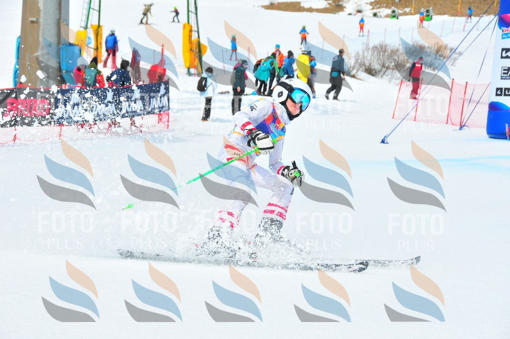 DSC_2369 | holidayphoto