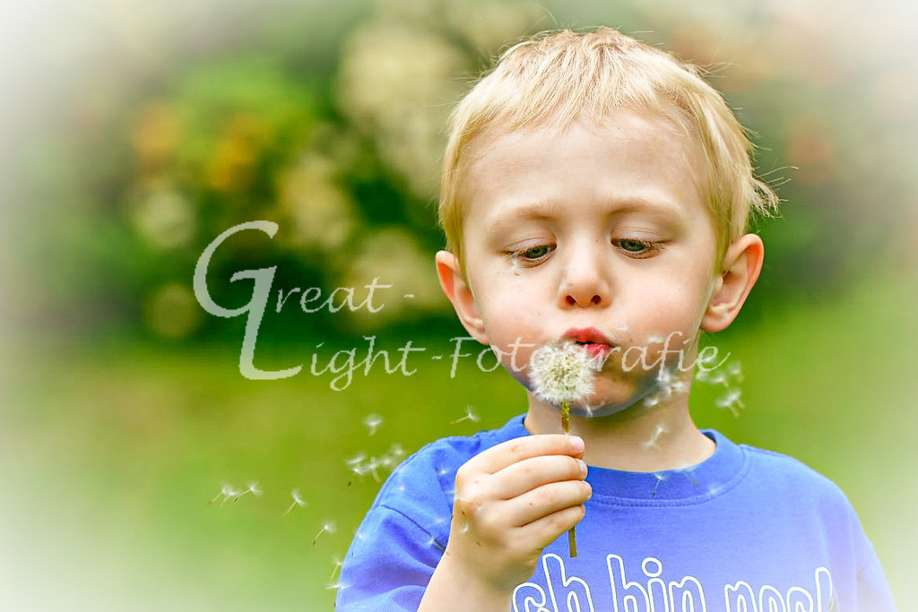 DSC_5909 | Great-Light Fotografie - Realisiert mit Pictrs.com