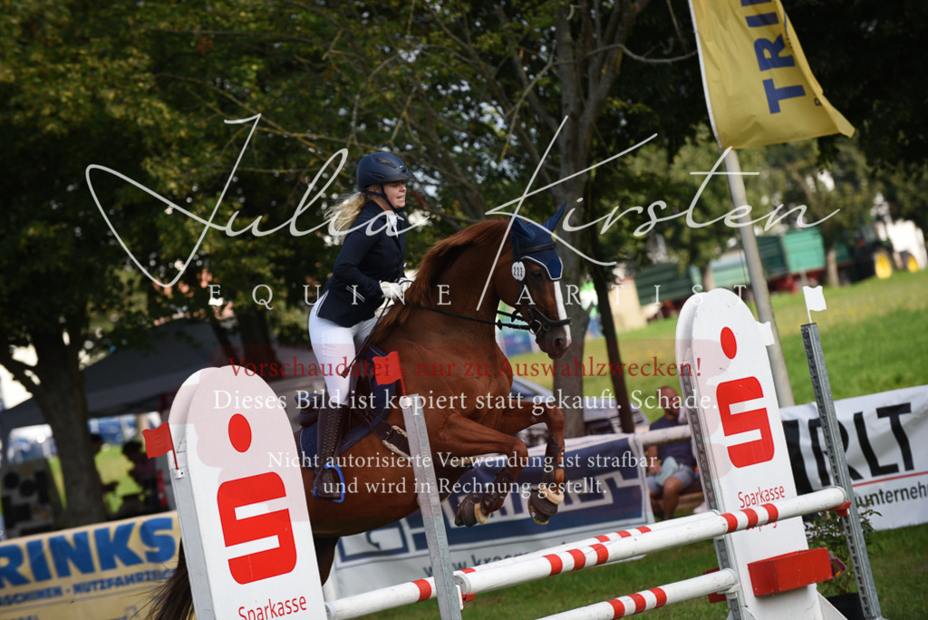 DSC_8850 | Pferde- und Turnierfotografie in Westsachsen. Pferdeportraits, Auftragszeichnungen und intuitive Kunst.