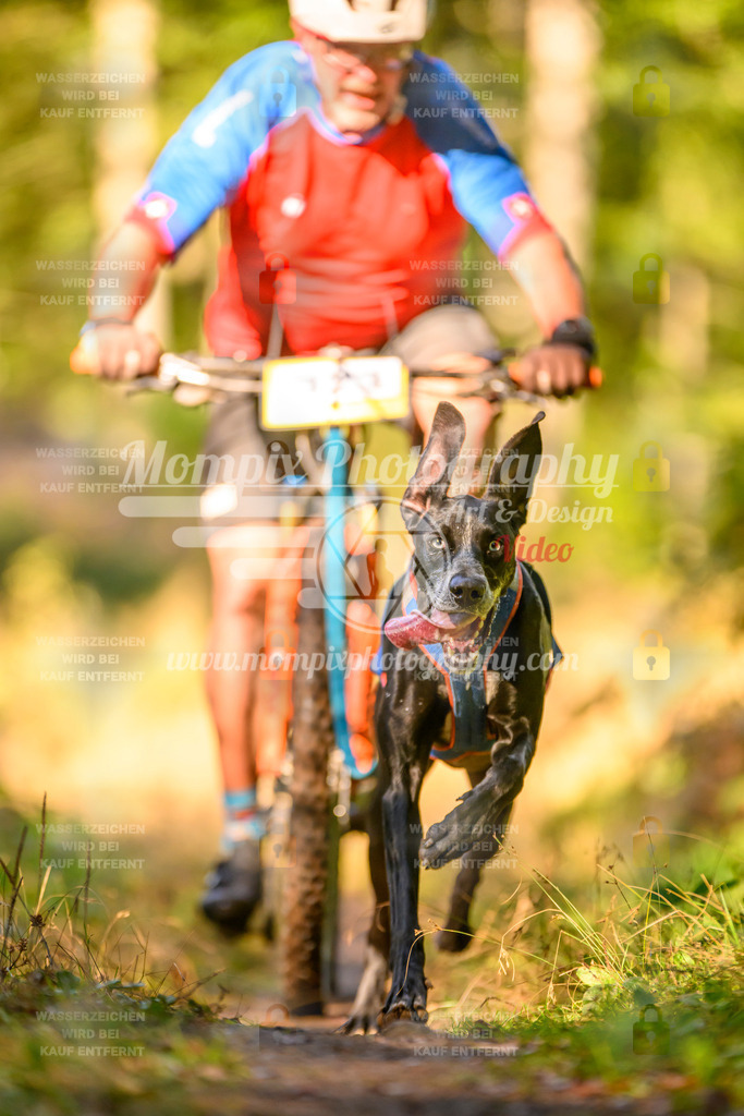 MompixPhotography_Yens2025_B3-68 | PayLife