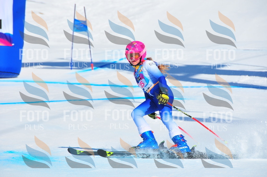 DSC_3970 | holidayphoto