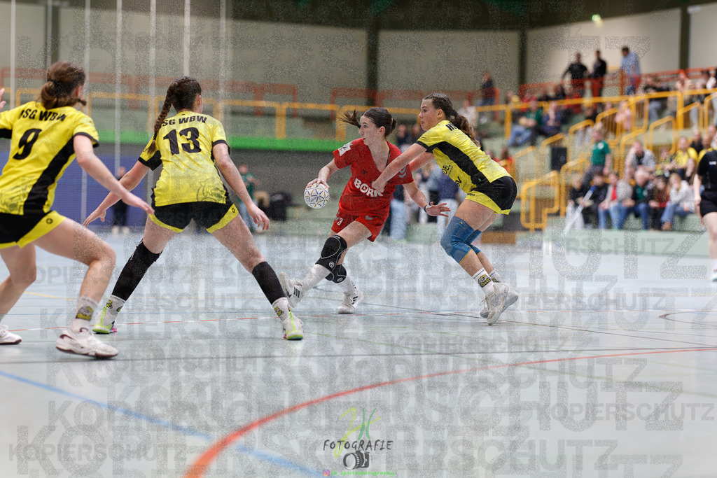 Hessenmeisterschaft wJC - Finale; HSG Kleenheim - HSG Weiterstadt/ Braunsh.Worf. | Hessenmeisterschaft wJC - Finale; HSG Kleenheim - HSG Weiterstadt/ Braunsh.Worf. am 22.03.2025 in Biedenkopf (Sporthalle Lahntalschule)Photo © 2025 - Jörg Heinrich - Realisiert mit Pictrs.com