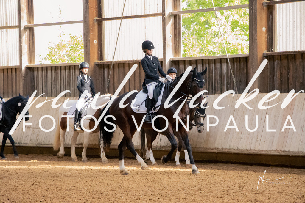 IMG_3573 | Erleben Sie dynamische Sport- und emotionale Tierfotografie in Süddeutschland mit Fotos von Paula. Spezialisiert auf Pferde- und Hundefotografie sowie Sportevents. Kontaktieren Sie mich für einzigartige und ausdrucksstarke Bilder Ihrer besonderen Momente. - Realisiert mit Pictrs.com