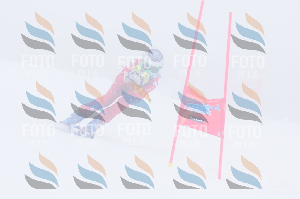 C2483 | holidayphoto