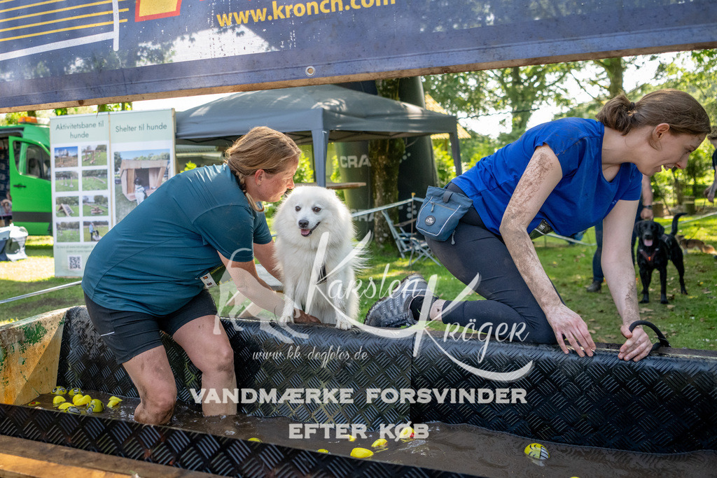 1543_ZZ93020 | kk-dogfotos