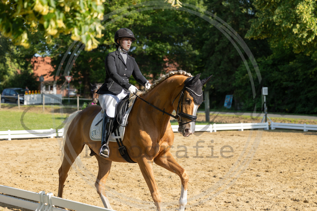 994A3390 | sabrinanicolaifotografie - Realisiert mit Pictrs.com