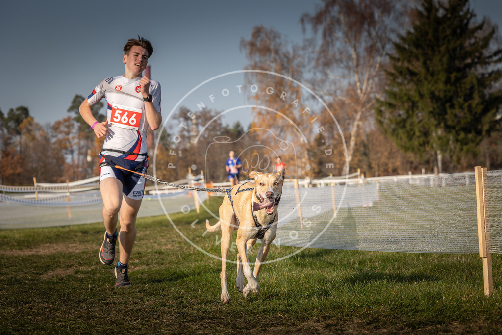 CaniXpix_0L8A9539 | Hundefotografie, Tierfotograf, Pfotenfotografie, Fotoshooting Hund, Hunde Portrait, Hundesport, Hundeportraits, Heideshooting, Hunde, Sportfotograf, Hundefotograf, Turnierhundsport, THS,  - Realisiert mit Pictrs.com