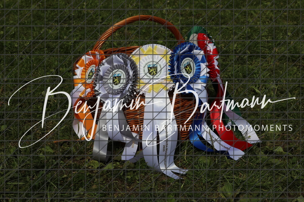 AZ2A2921 | Benjamin Bartmann Photomoments