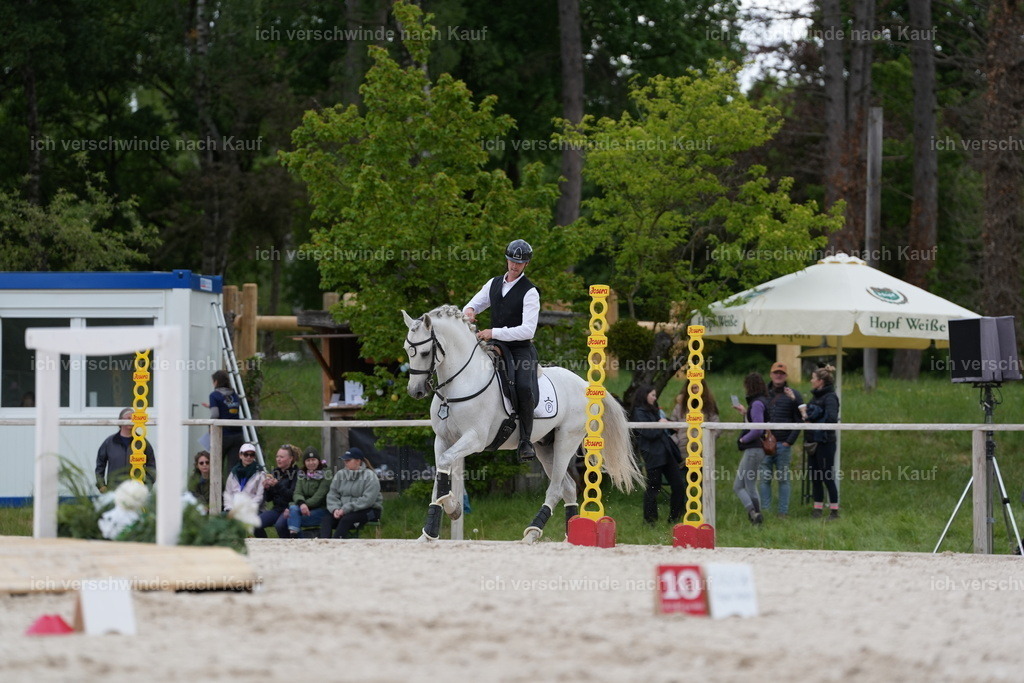 PI26_ST_Jan_Picutures7C_07610.JPG | working equitationturnier fotograf videograf stoibphotography marixx film working equitation deutschland reitsport turnierfotografie eventfotografie equestrian events
