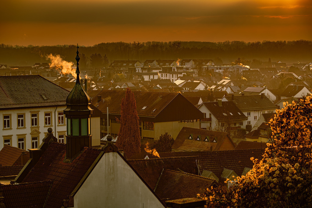 Weingarten (Baden) #1 | Tier- & Landschaftsfotografie und Porträtshootings. Entdecke einzigartige Fotokunst als Wandbild, Tasse oder Mauspad – mit Leidenschaft fotografiert - Realisiert mit Pictrs.com