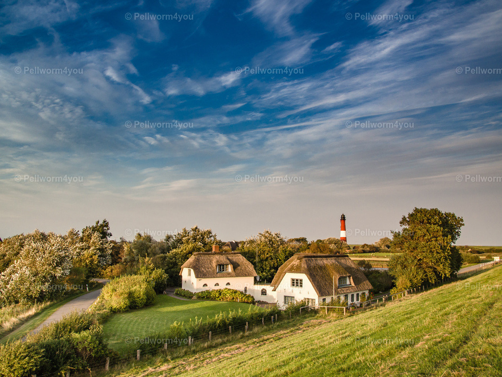 Pellworm-Pellworm-Leuchtturm_20160927-_9271369-_pictrs | Pellwormer Bilder und Fotos als Poster, auf Leinwand mit Keilrahmen, hinter Acrylglas, auf Alu-Dibond oder Forex-Platte und vieles mehr. Zum verschenken, für die Ferienwohnung oder für zu Hause. - Realisiert mit Pictrs.com