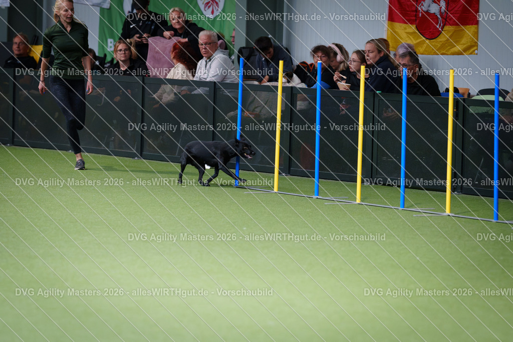 allesWIRTHgut_Tierfotografie-DVG_Agility_Masters_2026-11_41-7R506802 | Professionelle Tierfotografie in Mönchengladbach von Daniel Wirth (allesWIRTHgut). Liebevolle & natürliche Bilder von Hunden & Katzen für unvergessliche Erinnerungen.