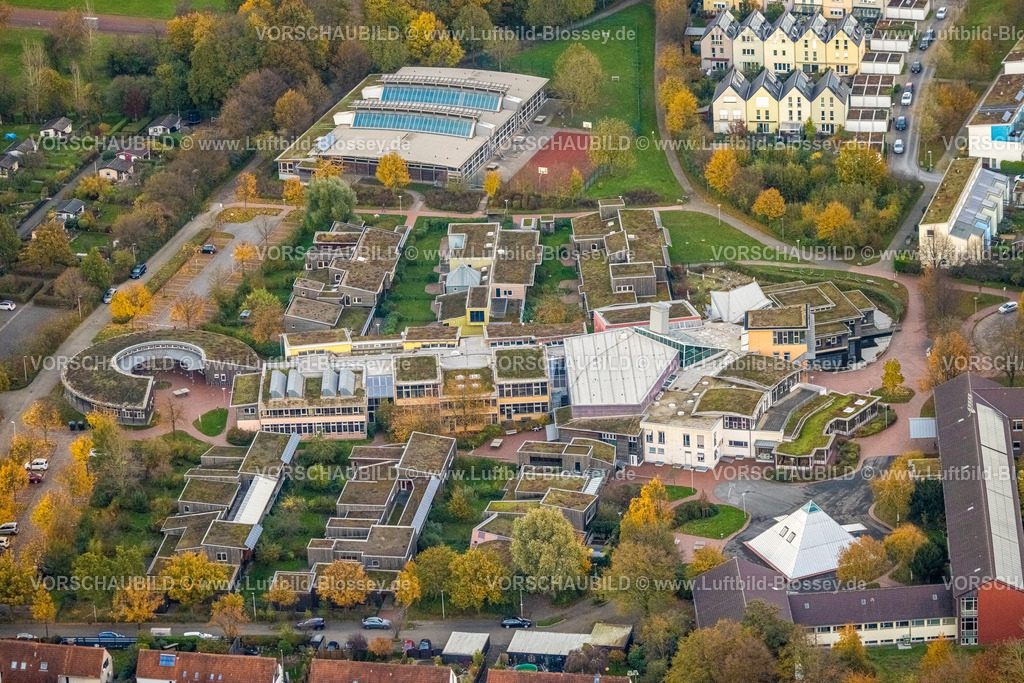 Gelsenkirchen231103101 | Luftbild, Evangelische Gesamtschule Gelsenkirchen-Bismarck, Halle mit Solardach, umgeben von herbstlichen Laubbäumen, Bismarck, Gelsenkirchen, Ruhrgebiet, Nordrhein-Westfalen, Deutschland