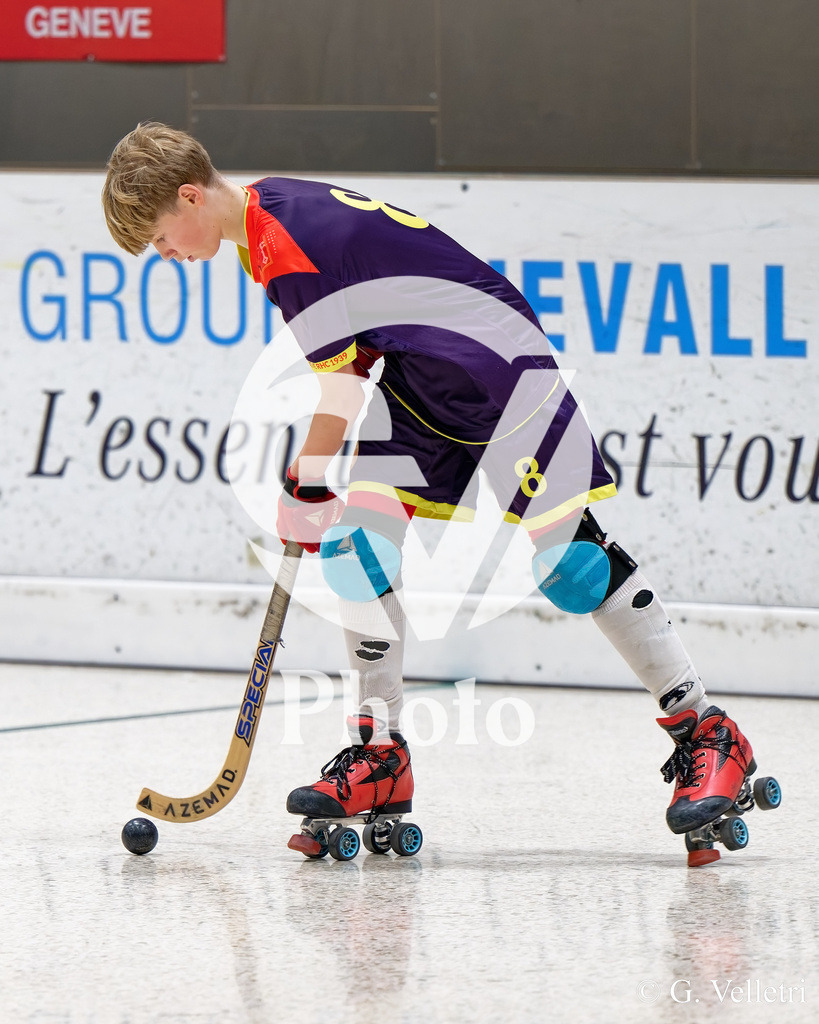 DZ8_2229 | Velletri Photo