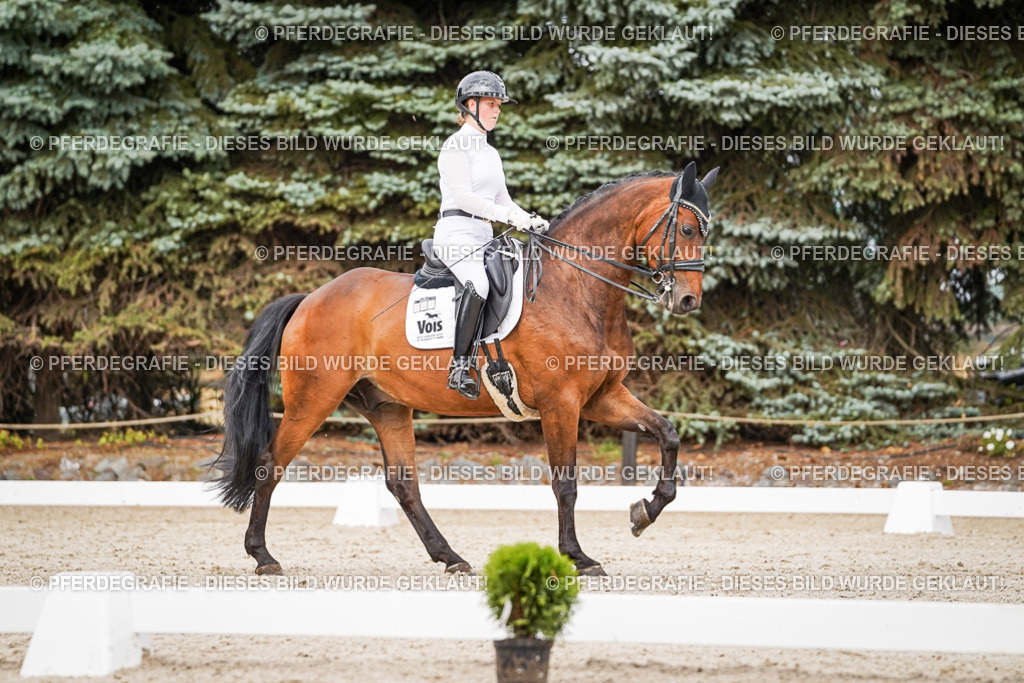 DSC06703 | Pferdegrafie