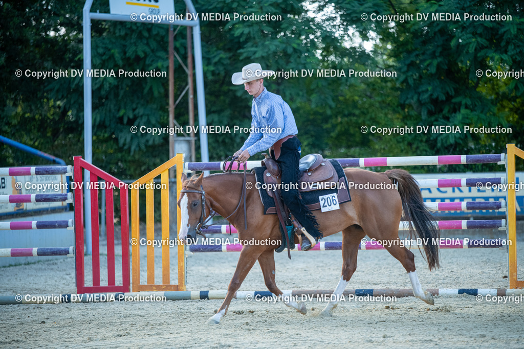 EWP_7184 | dv-media-shop - Realisiert mit Pictrs.com