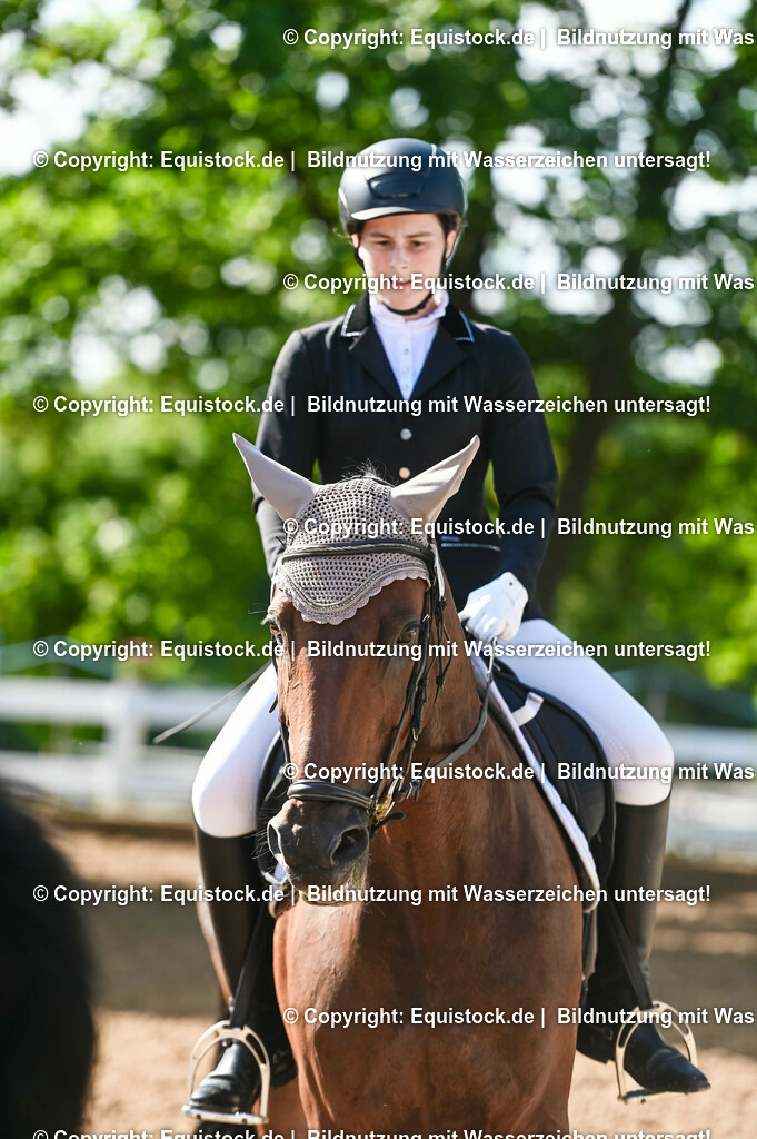 20230716_04_Dressurreiterprüfung Kl.A_0108 | equistock