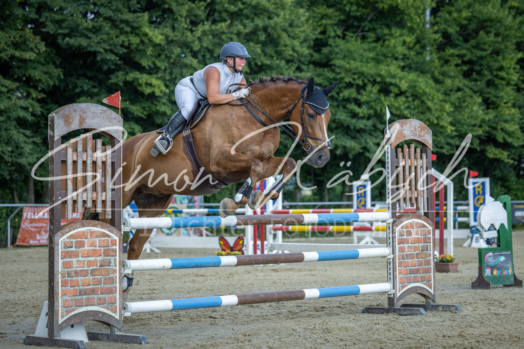 20260704-_3LI2232 | Tierfotografie Pferde, Hunde, Katzen, Haustiere.
Turnierfotografie Reitturniere, Reiten, Springreiten, Dressur in Hanau, dem Main-Kinzig-Kreis und dem Rhein-Main- Gebiet um Frankfurt