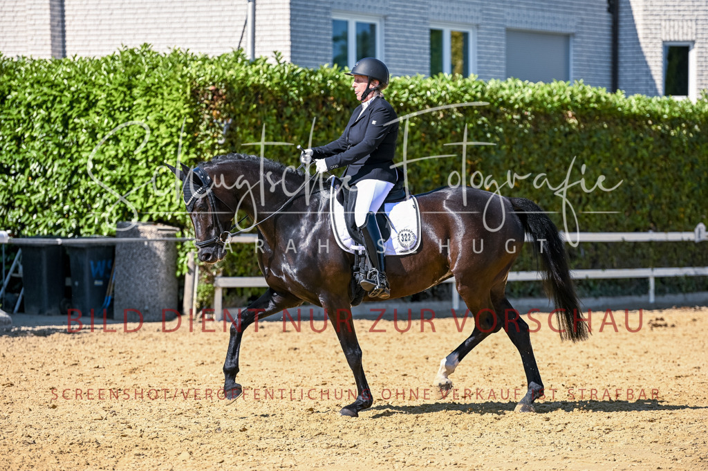Schugtsche-Aluta25-50.Dressurpferdeprf.L-186 | Schugtsche Fotografie - Realisiert mit Pictrs.com