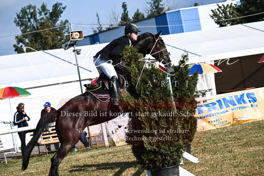DSC_7520 | Pferde- und Turnierfotografie in Westsachsen. Pferdeportraits, Auftragszeichnungen und intuitive Kunst.