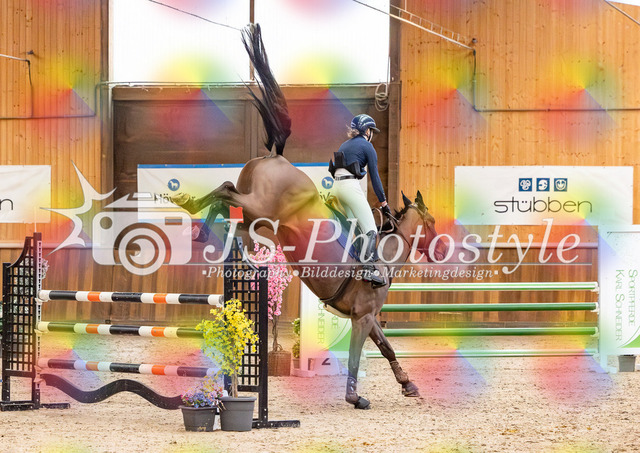 20260221_03_Springpferdeprfg KlL115-80 | JS-Photostyle - Sport-/Portrait- & Eventfotografie