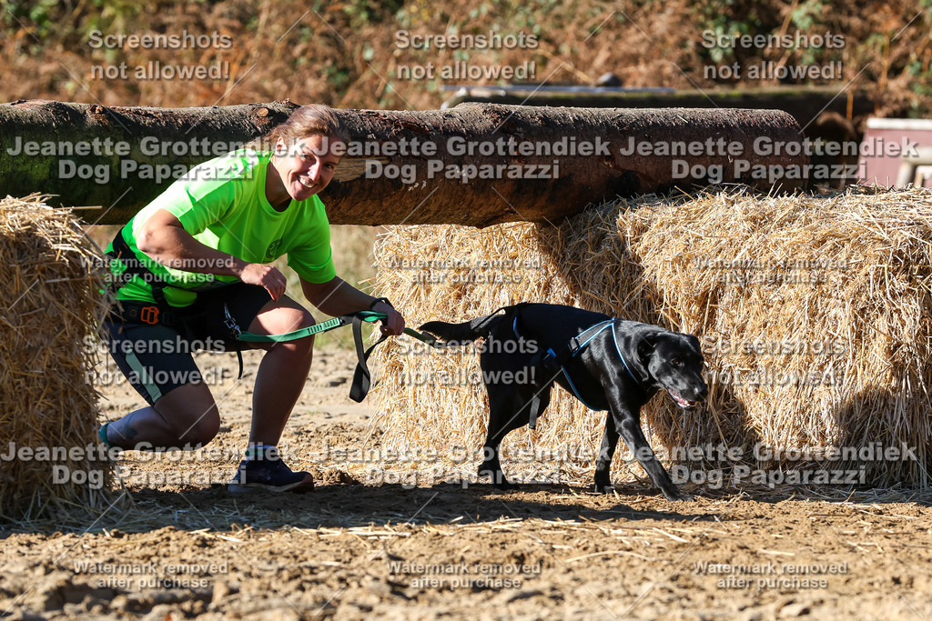 Dog Paparazzi - Strongdog 10-25-2389 | Dog Paparazzi Jeanette Grottendiek Fotografie & Videografie - Realisiert mit Pictrs.com