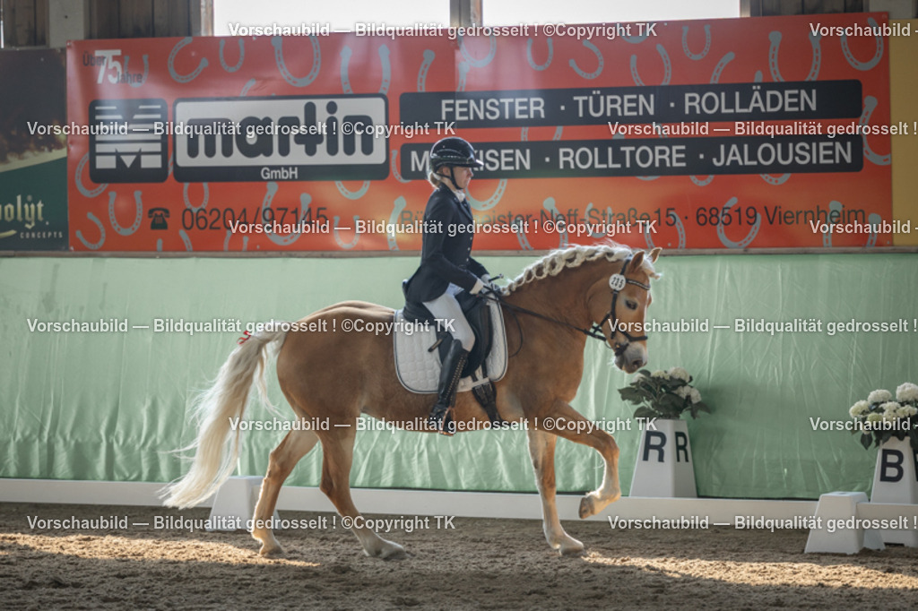 _D5A8306 | Emotionale Pferde- & People-Fotografie rund um Heidelberg, Leimen & Umgebung. Natürliche Fotos von Pferd, Mensch & Familie. Jetzt Termin sichern!