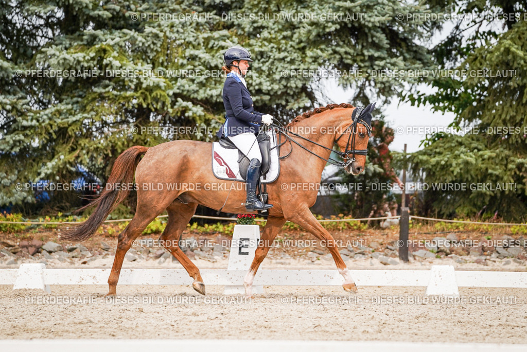 DSC07381 | Pferdegrafie