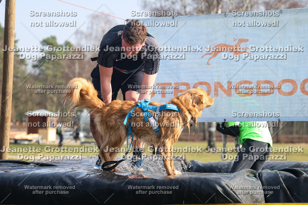 Dog Paparazzi - Strongdog North Mrz26-1587 | Dog Paparazzi Jeanette Grottendiek Fotografie & Videografie - Realisiert mit Pictrs.com