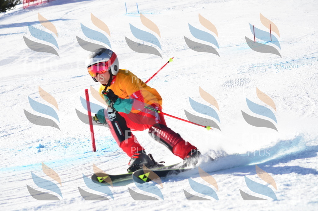 C6304 | holidayphoto