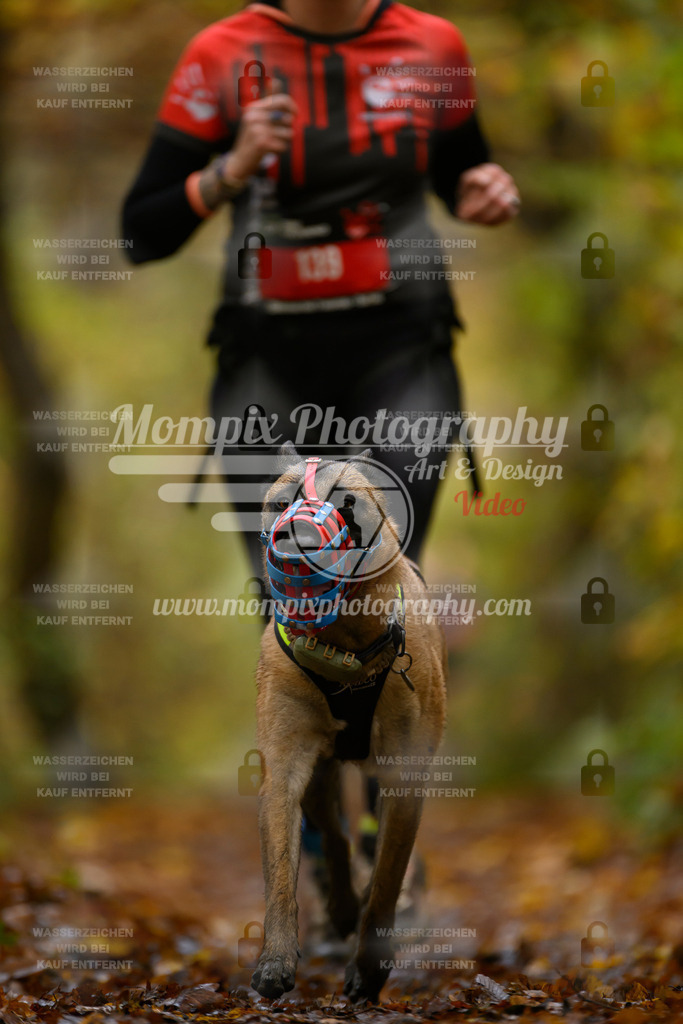 MompixPhotography_CD7S_DI_CCL-137 | mompixphotography