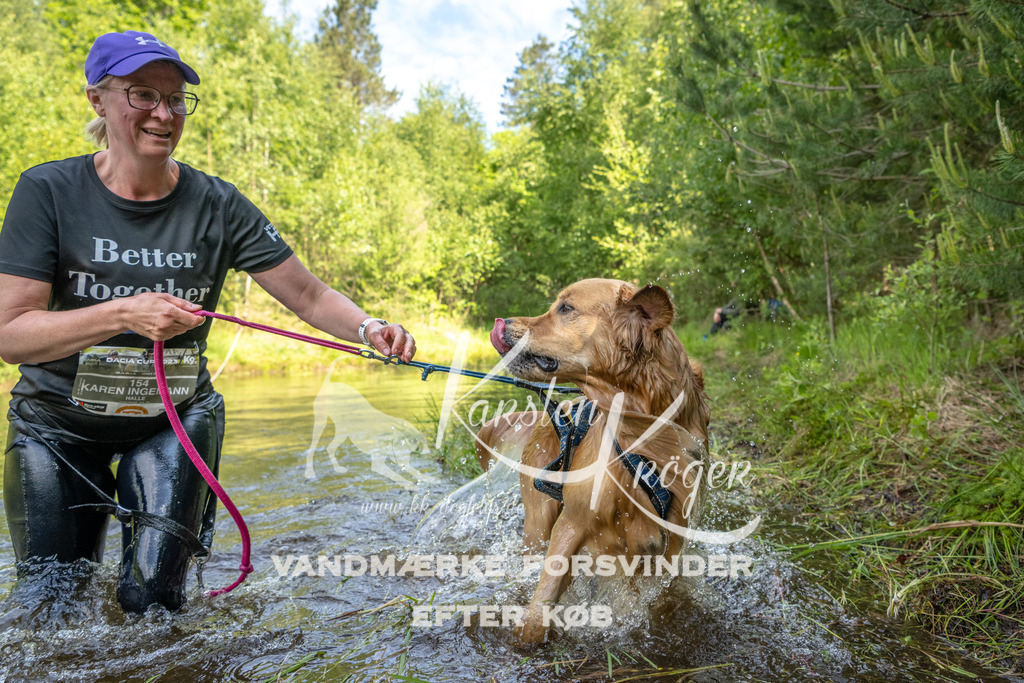 0950DKK9_ZZ93404 | kk-dogfotos