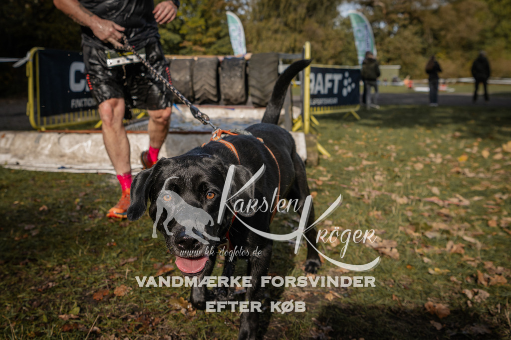 1402_ZZ93870 | kk-dogfotos