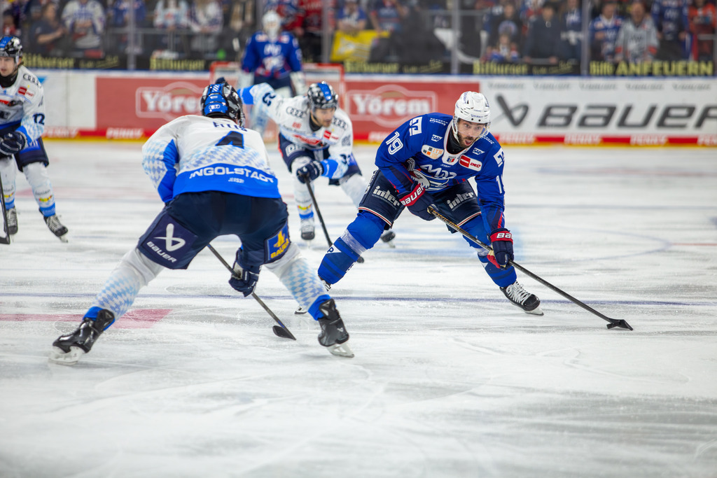 DEL, Deutsche Eishockey Liga Saison 2024/25, 44. Spieltag: Adler Mannheim gegen ERC Ingolstadt***Luke Esposito (19, Mannheim) holt aus zum Torschuss zum 1:1-Ausgleichstreffer | DEL, Deutsche Eishockey Liga Saison 2024/25, 44. Spieltag: Adler Mannheim gegen ERC Ingolstadt***Luke Esposito (19, Mannheim) holt aus zum Torschuss zum 1:1-Ausgleichstreffer - Realisiert mit Pictrs.com